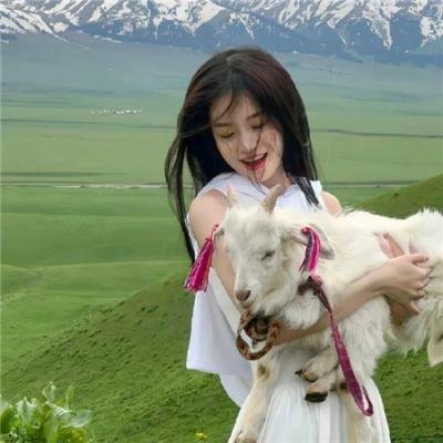无耻之徒第一季