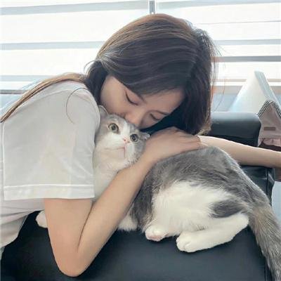 德黑兰魅影