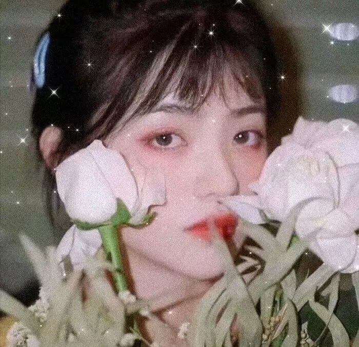 龙虎兴邦